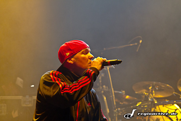 Limp Bizkit (live in Mannheim, 2011)